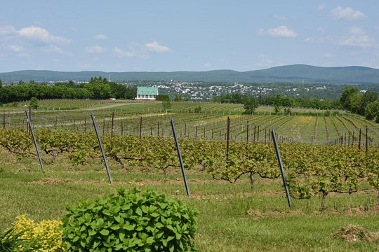 Tour image 9