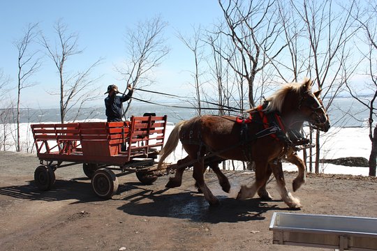 Tour image 5